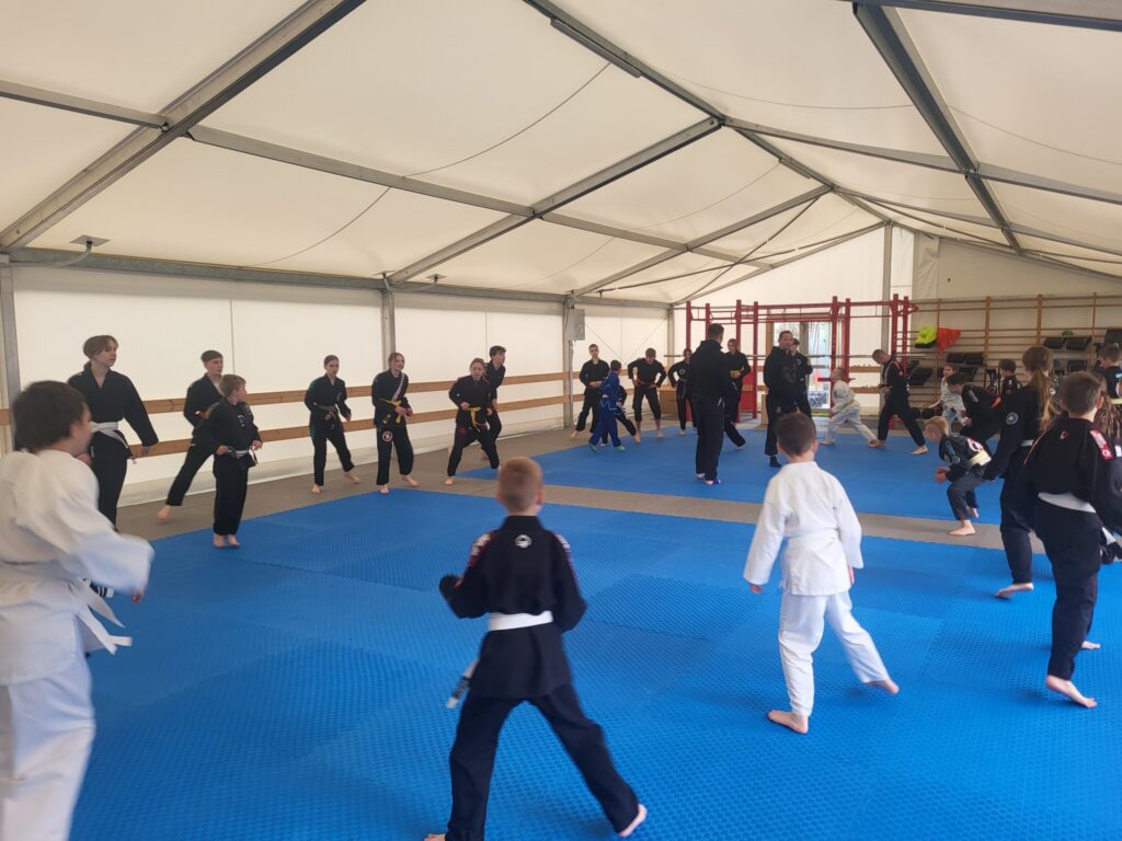 Obóz sportów walk bjj dla dzieci i młodzieży - mocne dzieciaki - Żywiec