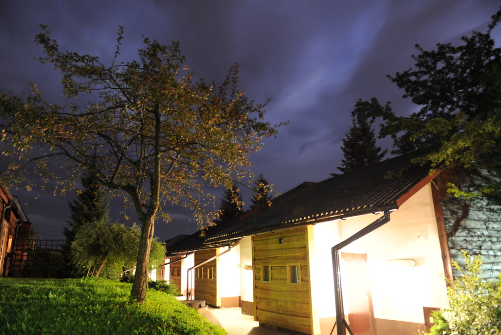 Obóz sportów walk bjj dla dzieci i młodzieży - mocne dzieciaki - Żywiec